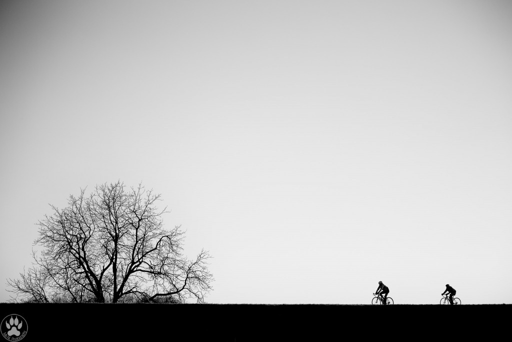 _ANI9674_547