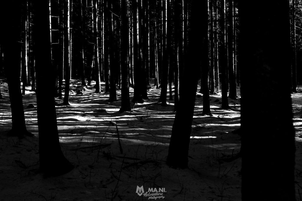 MAN23037_887
